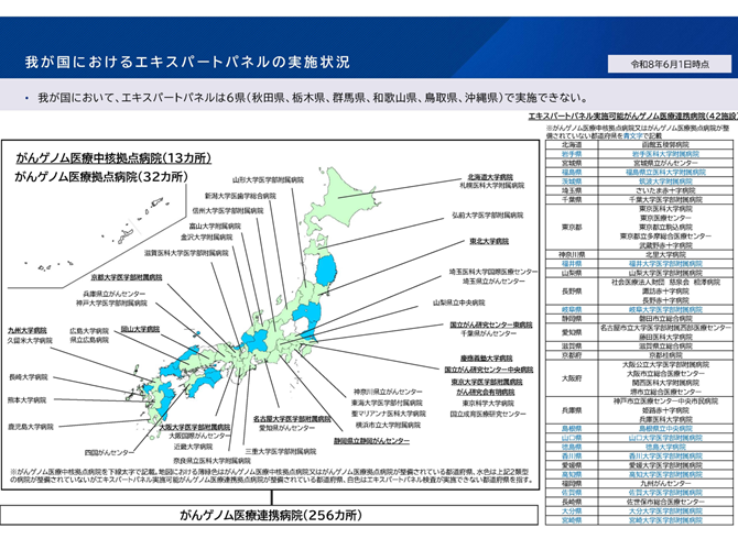 我が国におけるエキスパートパネルの実施状況
