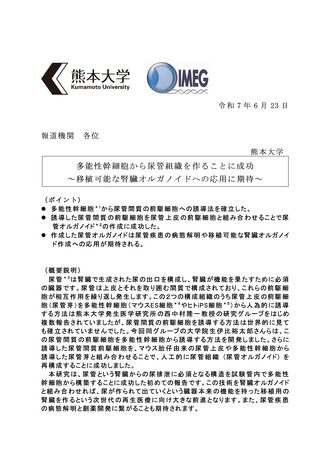 ［医療提供体制］ 多能性幹細胞から尿管組織を作成　熊本大学
